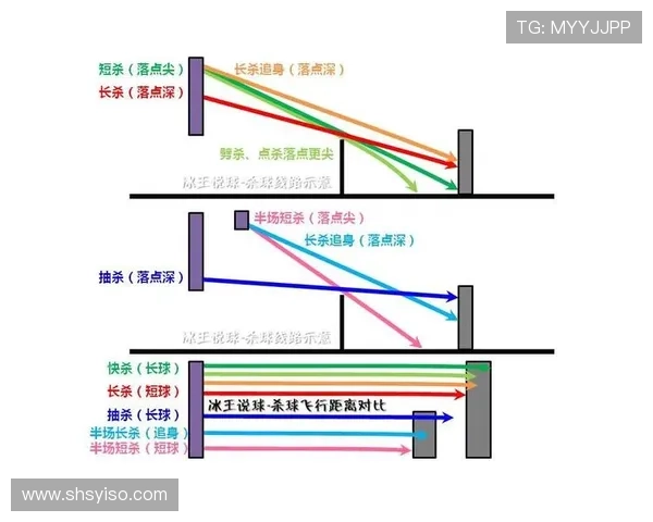 武汉羽毛球队的转换打法深度分析与战术创新探讨 武汉羽毛球队的转换打法深度分析与战术创新探讨