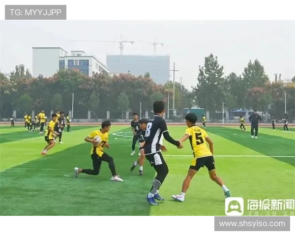 羽毛球传奇吴秀英的职业生涯与心路历程深度对话