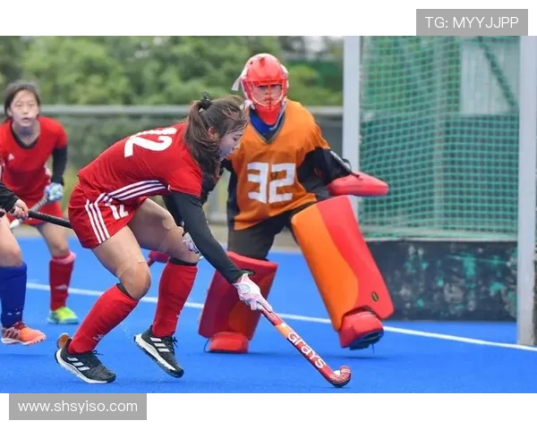 北京乒乓球队在锦标赛中的技术表现分析与点评探讨